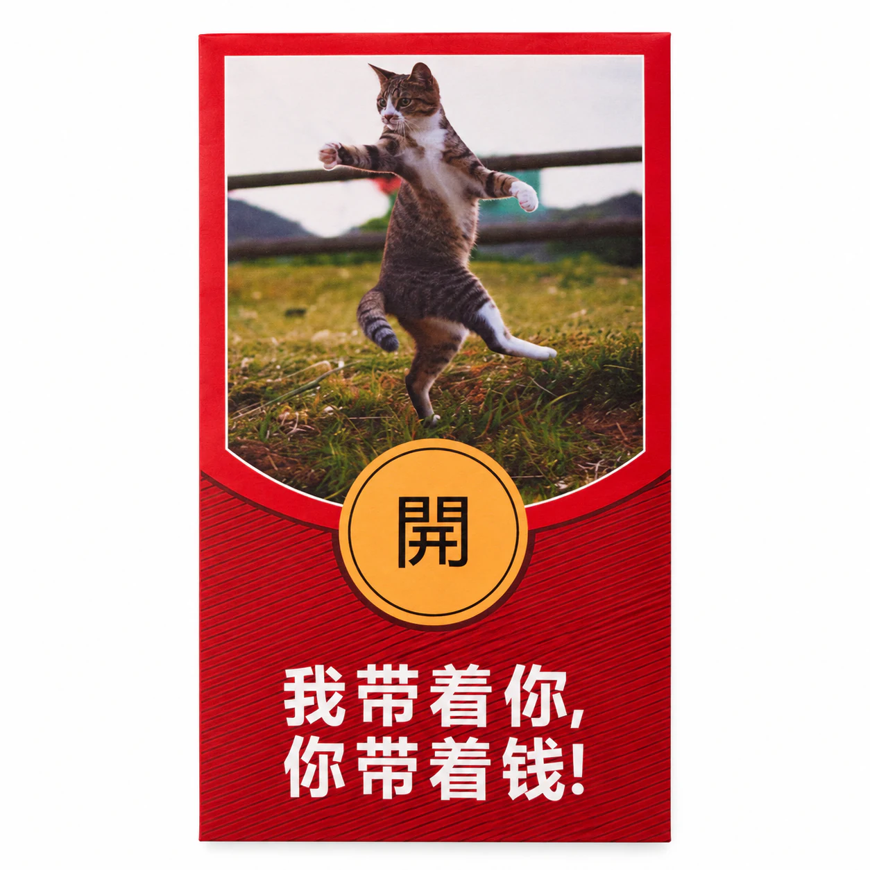 我带着你你带着钱萌猫红包
