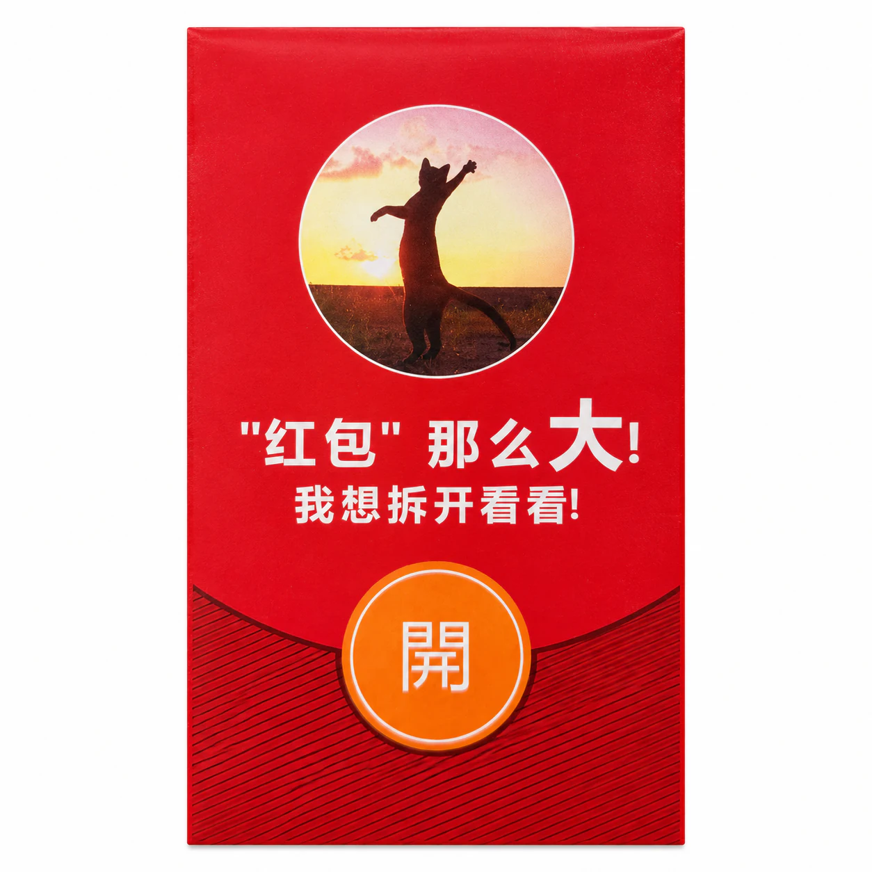 红包那么大萌猫红包